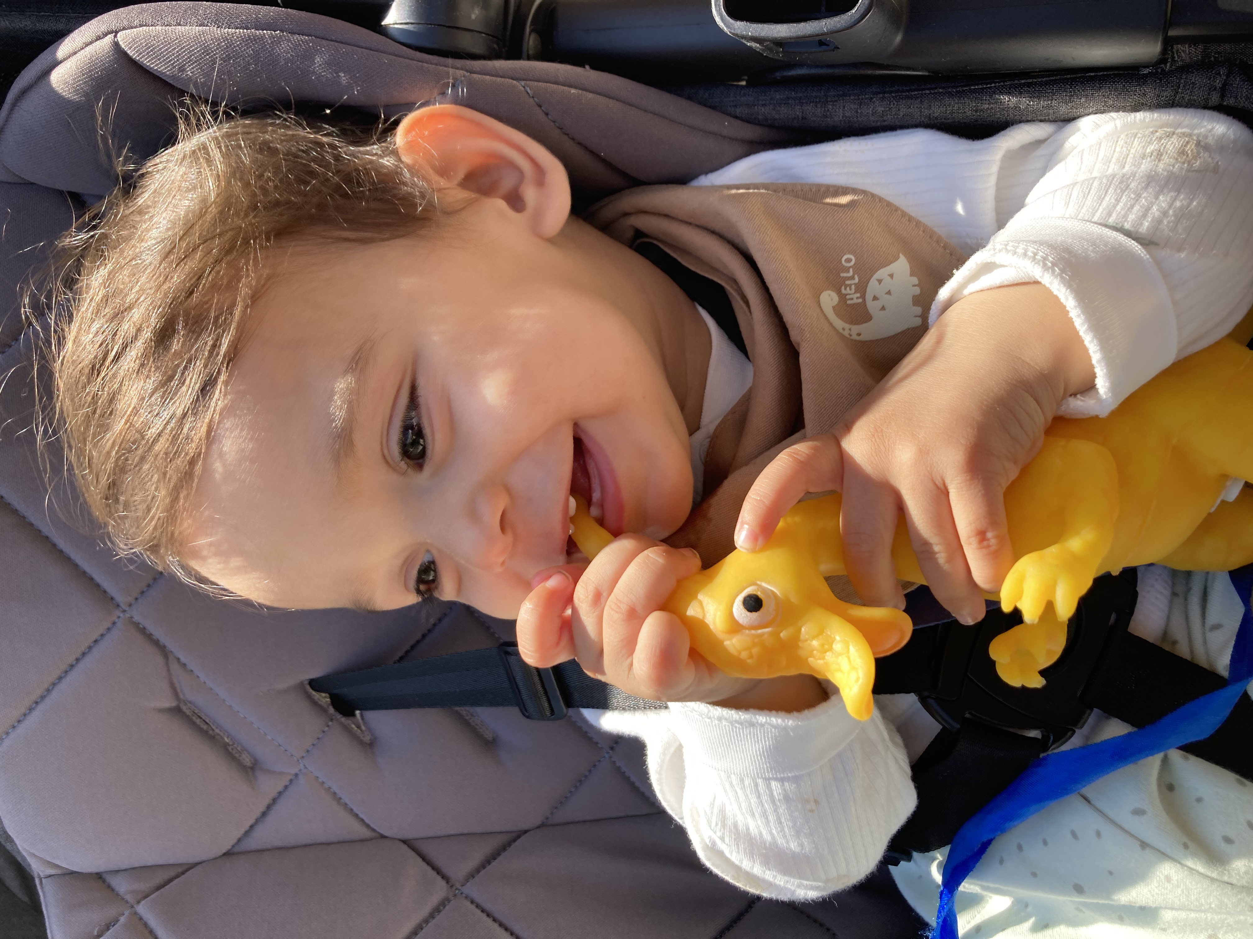 ÇAĞAN EGE YILDIRIM